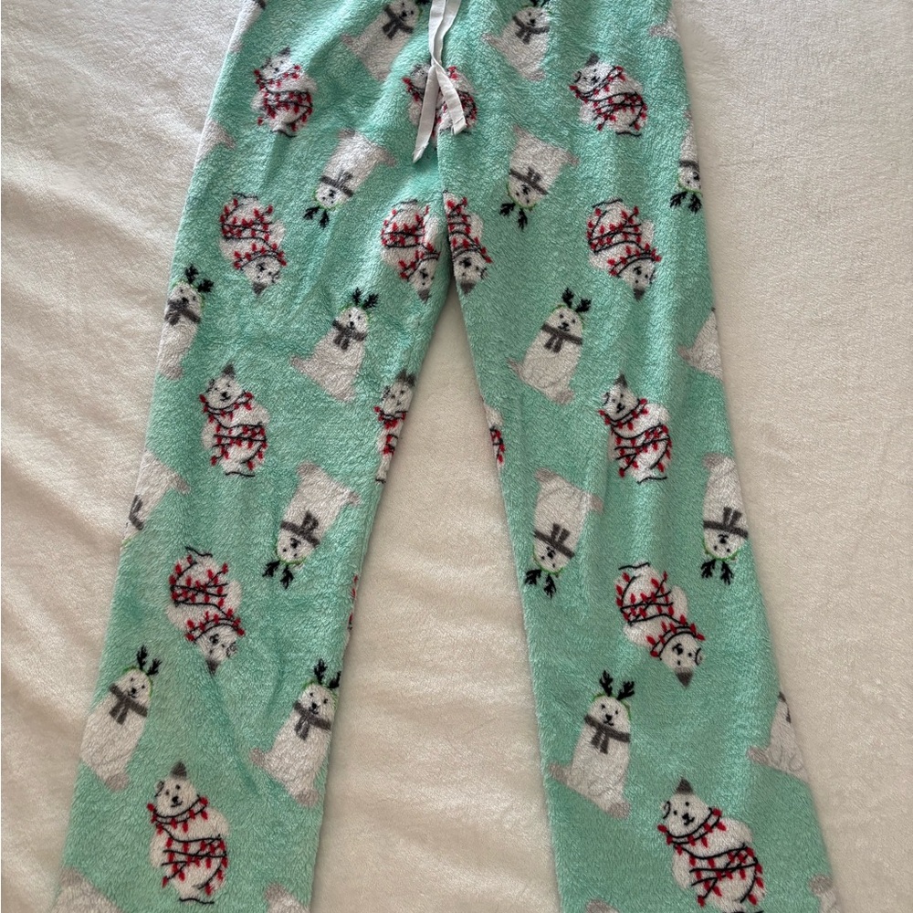 Cozy Mint Green Kids Pajama Pants